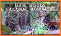 Muir Woods National Monument related image