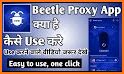 Beetle proxy related image