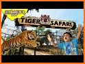 Tiger Adventure: Mini Jungle Adventure related image