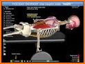 Strength by Muscle and Motion related image