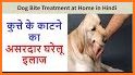 Animal Bite Treatment - अगर जानवर काटे तो क्या करे related image