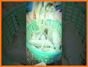 Fresh Seafood related image