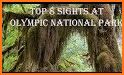 NPS Olympic related image