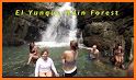 El Yunque National Forest related image