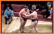 Funny Sumo related image