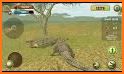 Wild Crocodile Simulator 3D related image