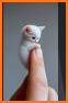 Adorable Animals Watch Face related image