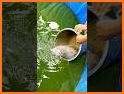 Fish Growing related image
