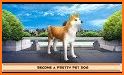 Inu the cute Shiba - virtual pup games related image