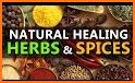 Herbs and Spices Benefits. related image