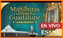 La Virgen de Guadalupe related image