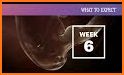 Pregnancy and what to expect week by week related image