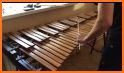 Professional Xylophone related image