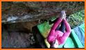 bouldern.ch related image