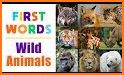 Baby First Words : Animals Sound related image