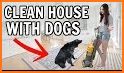 Puppy Home House Cleaning related image
