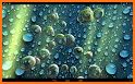 Bubbles Live Wallpaper related image