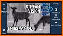 Stream Vision related image