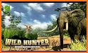 Wild Dino Hunter:Free Shooting Games related image