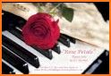 Rose petal love keyboard related image