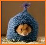 Hamster Hotel related image