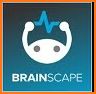 Brainscape Flashcards related image
