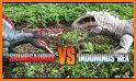 Dino King Stego VS Spino related image