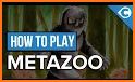 MetaZoo Play Network related image