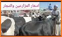 ISNA/ESNA 2022 related image
