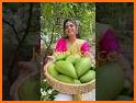 Mango related image