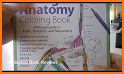 Anatomy Coloring Book related image