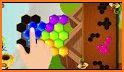 Hexa Hive Puzzle related image