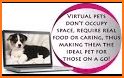 VChum: Desktop electronic pets related image