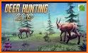 Sniper King Shooter 2019 : Animal Hunting Game related image