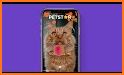 PetStar: Your Dog & Cat Sings related image