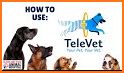 TeleVet Care for Pet Parents related image