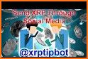 XRPTipBot related image