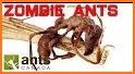 Ants vs. Aliens related image
