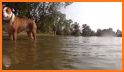 Five Island Lake - IOWA GPS related image