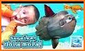 Survive! Mola mola! related image