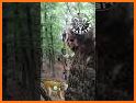 Gift Archery: Shoot the target, win free gifts related image