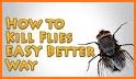 Flies Are So Annoying related image
