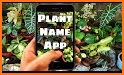 Plant identifier app - Tree, Flower, Leaf ... related image