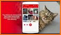 MeowApp - Cute Cat Sound App related image