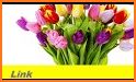 1800Flowers: Same-Day Flowers & Gifts Delivery related image