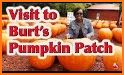 the visit of pumpkin related image