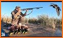 Ducks Hunting related image