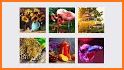 Oil Painting Color By Number related image