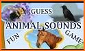 Guess animal sounds and names related image