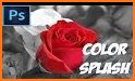 Color Splash Effect Photo Editor Color Changer related image